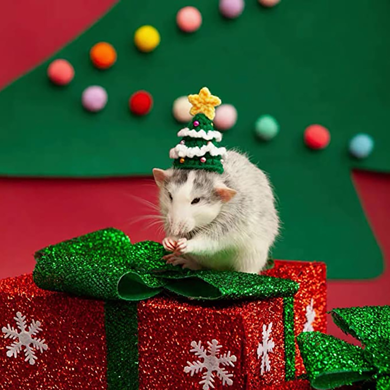 Hand Woven Pet Christmas Hat D - Santa Hat Plush 评论和价格