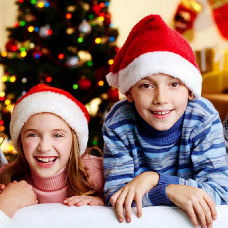 Plush Christmas Hat for Adult  - Santa Hat Plush 评论和价格