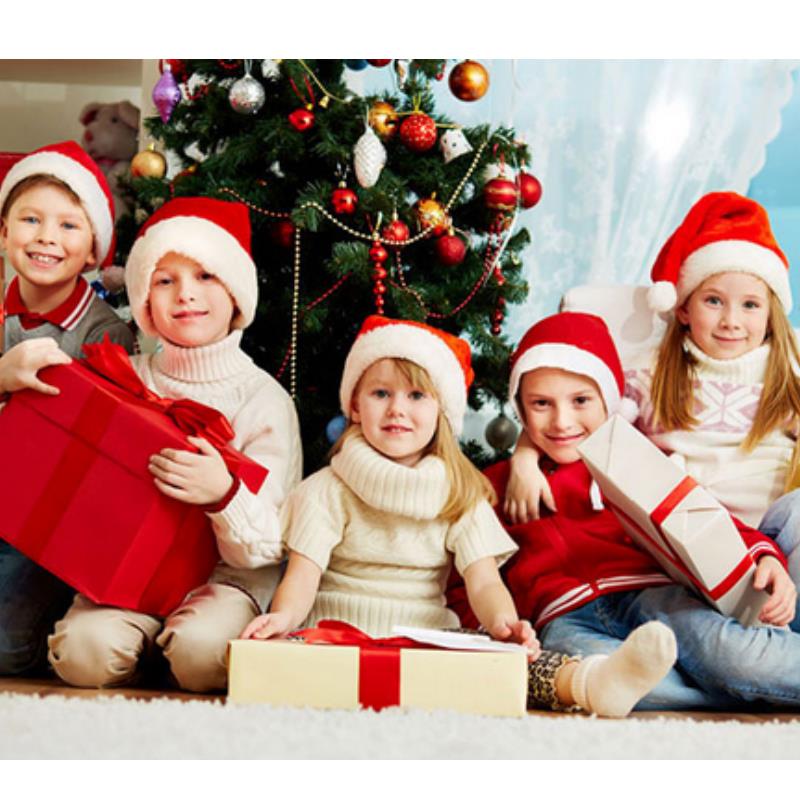 Plush Christmas Hat for Adult  - Santa Hat Plush 评论和价格